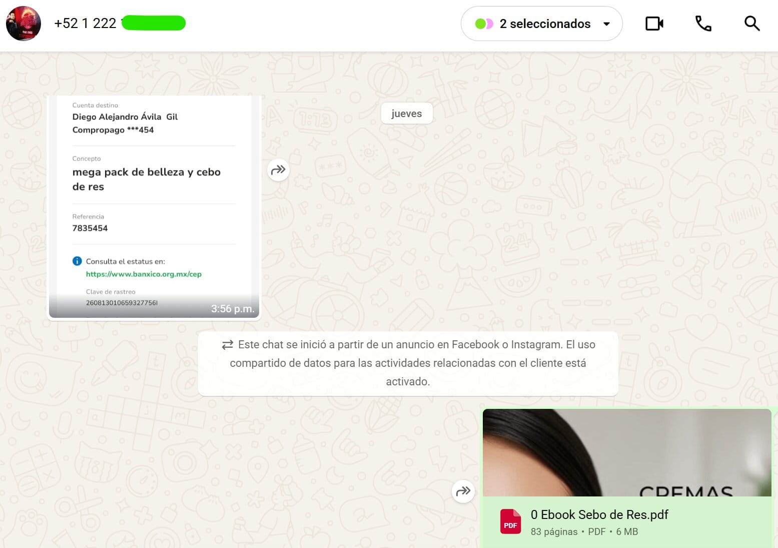 Cliente que llegó desde anuncio y recibió sus archivos